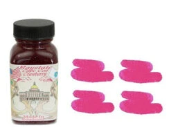 Noodlers Fountain Pen Ink Bottle - Bay State Cranberry